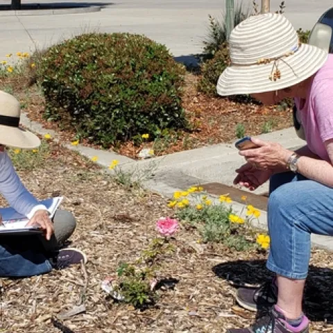 Two woman sitting next to a rose bush, one woman pointing at the plant and holding a cell phone, the other is taking notes about the characteristics of the small young rose in front of them.