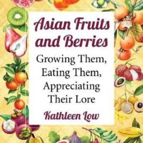 asian-fruits-and-berries