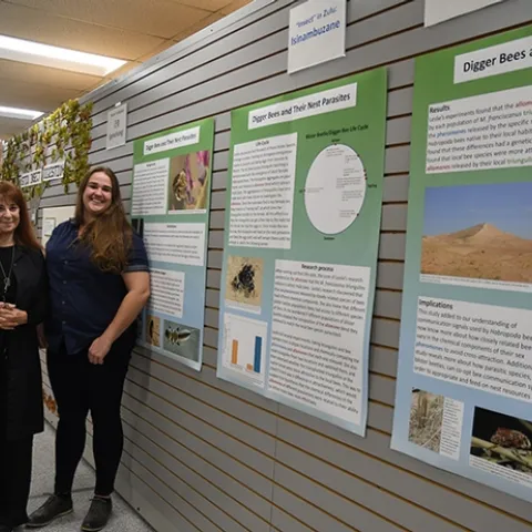 Entomologist Leslie Saul-Gershenz (left) with curator Emma Cluff at the digger bee display, Bohart Museum of Entomology. It will be on display through May 16. (Photo by Kathy Keatley Garvey)