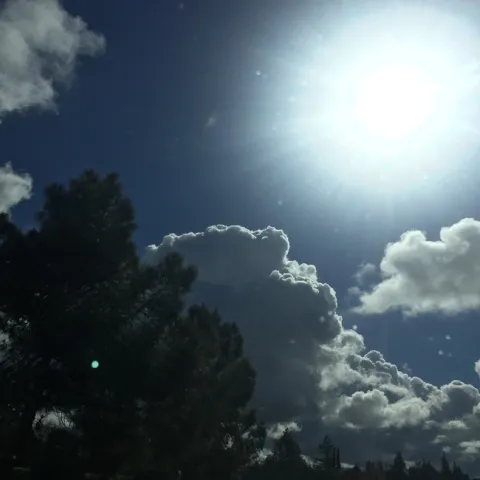 photo by Jennifer Baumbach