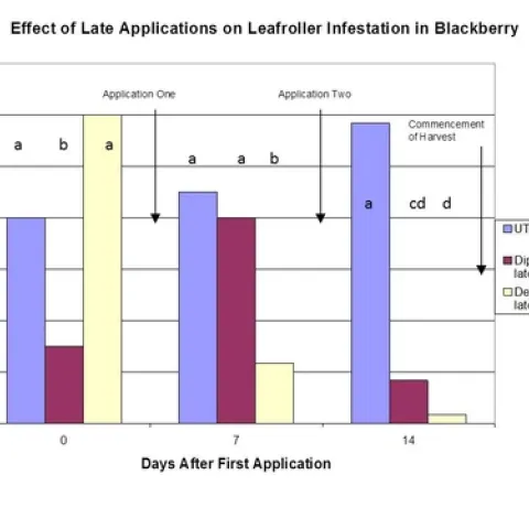 Figure 2: Late applications: Means followed by the same letter do not significantly differ (p= 0.05, LSD).