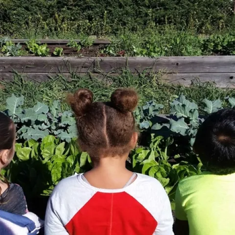 Kids watching the plants grow by Karina Hathorn