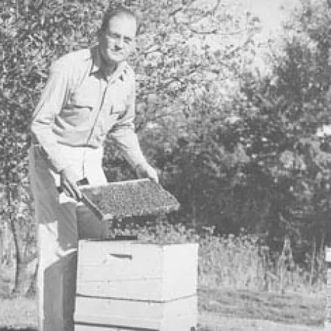 Harry H. Laidlaw Jr., the father of honey bee genetics. The facility, Harry H. Laidlaw Jr. Honey Bee Research Facility, is named for him.