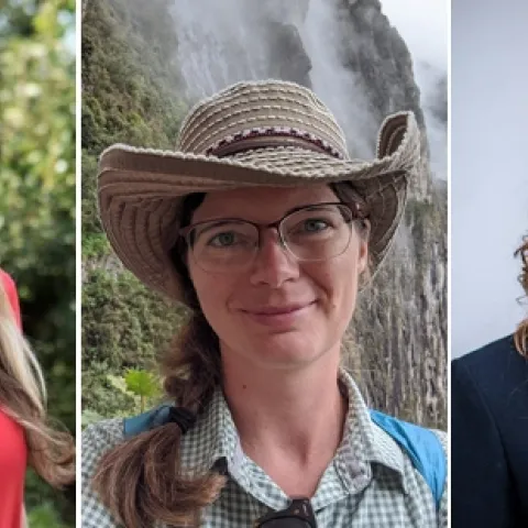 New Coord 1x3 Layout for blog