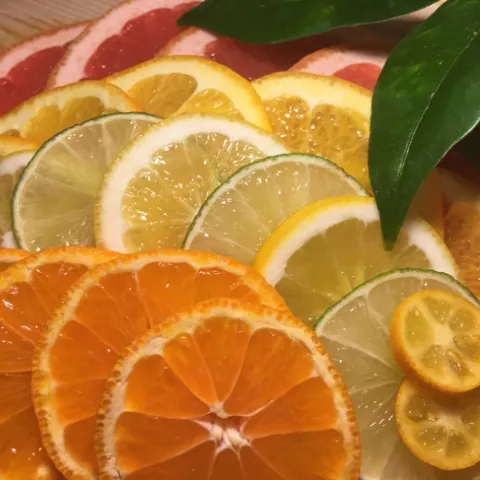 Photo by Diane Galvan