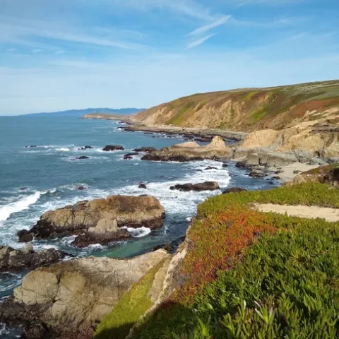 Beautiful day in Bodega Bay