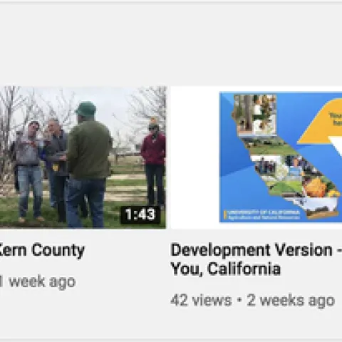 Strategic Initiatives leaders will host workshops to create "how-to" videos.