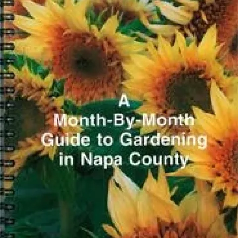 Month-By-Month Gardening Guide for Napa County