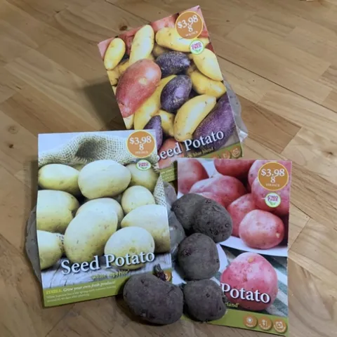 photo by Mary Gabbard