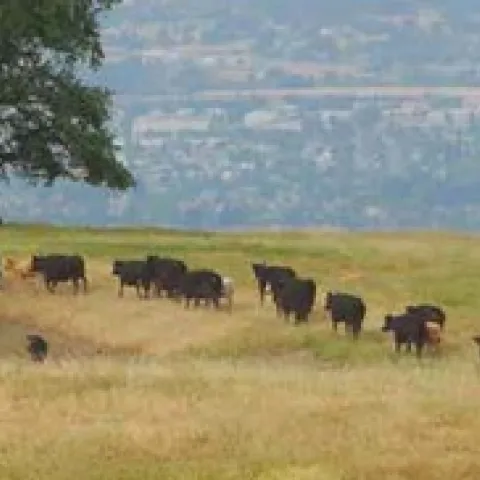 2019 Annual Report narrow