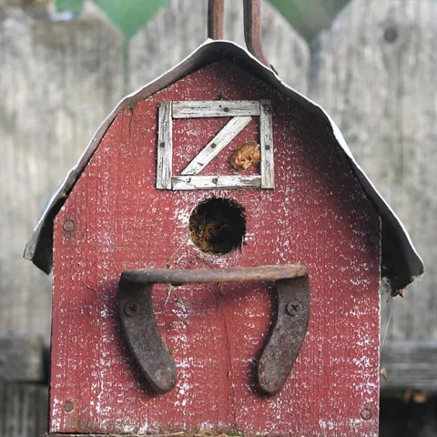 Find the ootheca! It's on this barn-themed birdhouse. (Photo by Kathy Keatley Garvey)