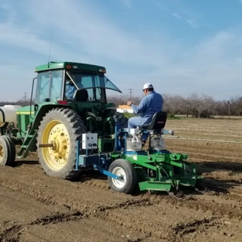 Planting garbanzos for a research trial at UC West Side REC in the San Joaquin Valley, 2020.