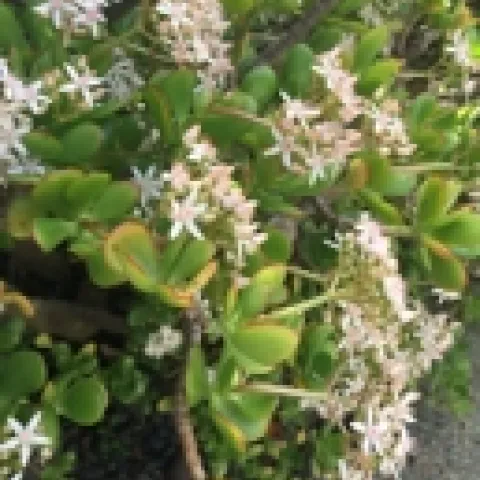 February blog final joannbrown (1)