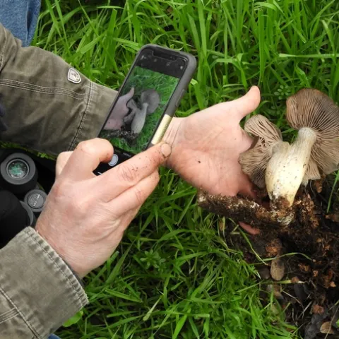 Naturalists making discoveries with Tuleyome in 2019. Photo Mary Hanson.