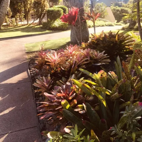 photos by Karen Metz