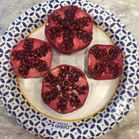 Pomegranate geometry. photos by David Bellamy