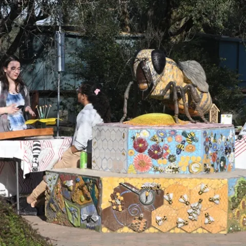 A six-foot-long worker bee, the work of self-described "rock artist" Donna Billick of Davis, anchors the Häagen-Dazs Honey Bee Haven. (Photo by Kathy Keatley Garvey)