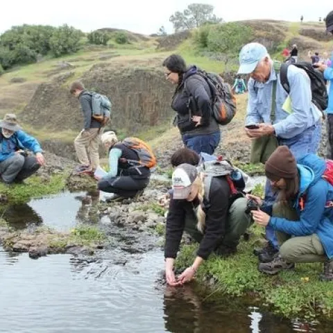 CalNat lead scientist