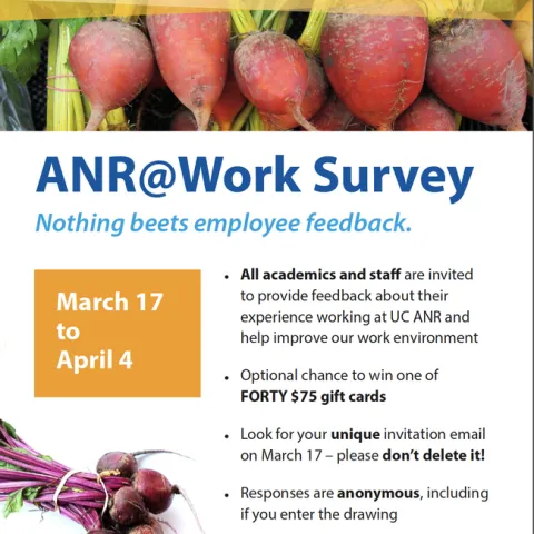 ANR at Work survey beets