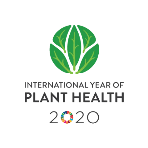 IYPH2020 Logo Vertical EN