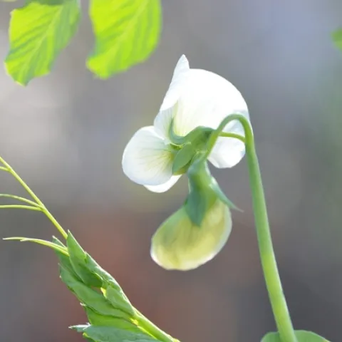 photos by Erin Mahaney