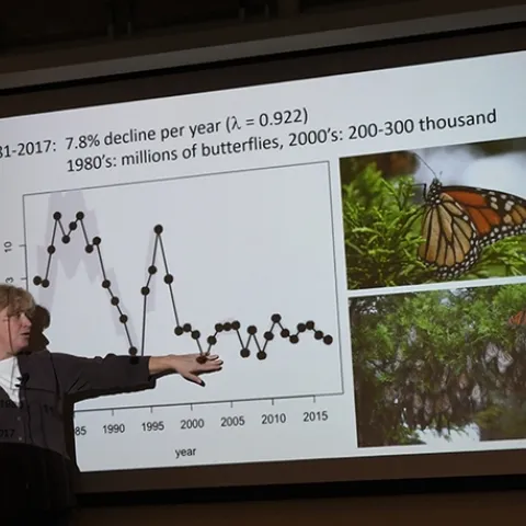 Professor Elizabeth Crone delivering a seminar on Western monarchs to the UC Davis Department of Entomology and Nematology. (Photo by Kathy Keatley Garvey)