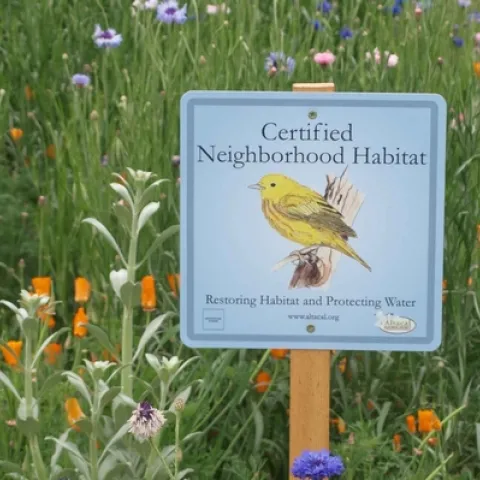 Neighborhood Habitat Certification Sign, Altacal Audubon Society
