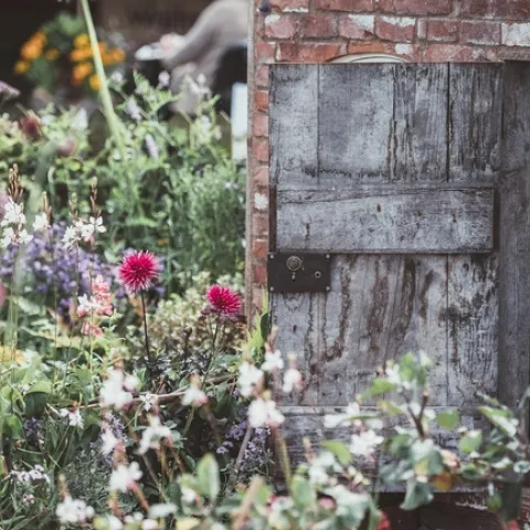 Let the garden soothe . . . (Annie Spratt)