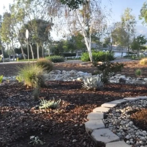 Vikki's Water-Wise Moonlight Garden