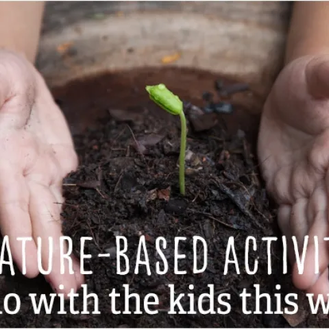 Link to garden activities for kids (and adults).