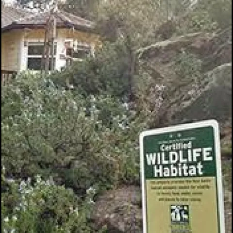 sustainable landscape