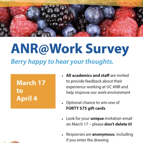 Berry happy work survey