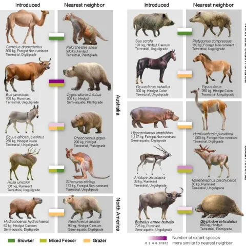This graphic from the research article in PNAS illustrates introduced herbivores and nearest neighbors.