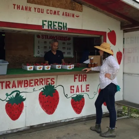 San Joaquin Valley strawberry stands are expected to be open by April 10.