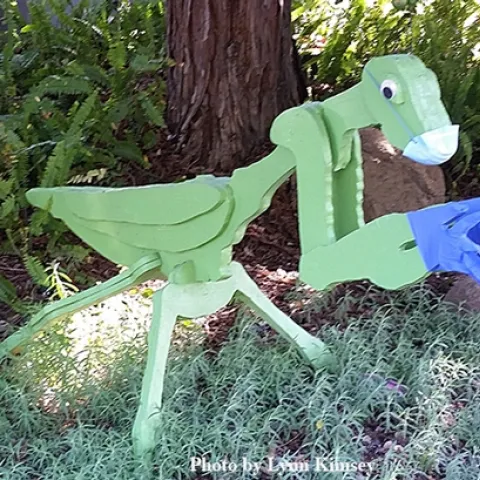 This is the coronavirus-equipped mantis that's drawing lots of smiles in the Davis front yard of entomologists Robert and Lynn Kimsey of UC Davis. (Photo by Lynn Kimsey)