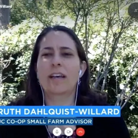 Ruth Dahlquist-Willard explained COVID-19 precautions taken at farm stands to ABC 30.