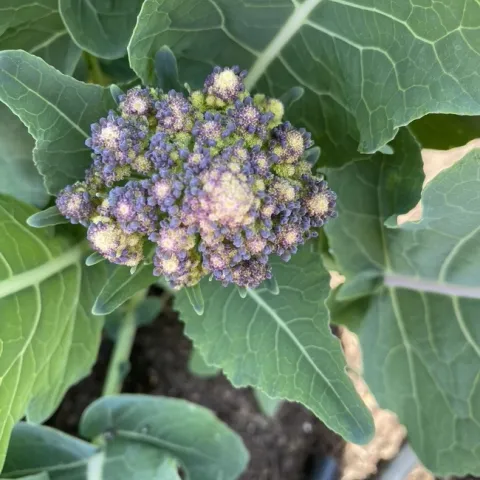 photos by Erin Mahaney