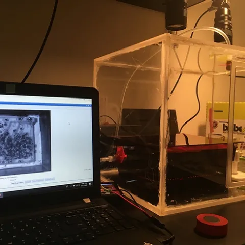 This is the device that Annaliese Wargin designed and built for her bumble bee research project. (Photo by Annaliese Wargin)