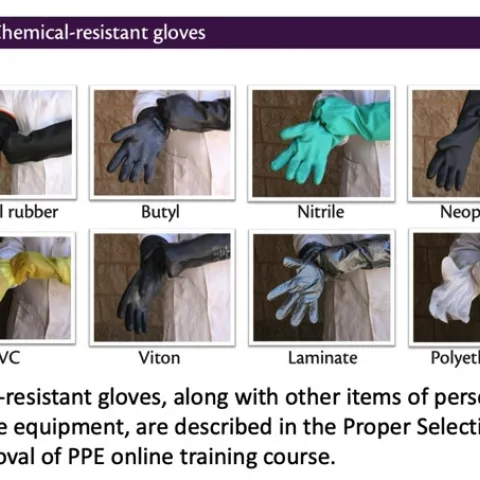 chemical resistant gloves