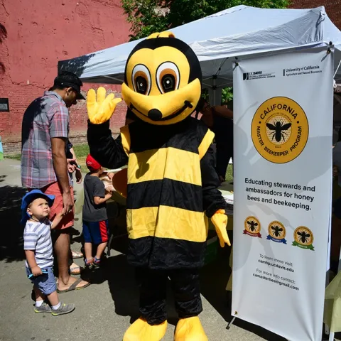 Miss Honey Bee (Wendy Mather, program manager of the California Master Beekeeper Program) waves at the crowd at the 2019 California Honey Festival, while a curious youngster wonders what this is all about. (Photo by Kathy Keatley Garvey)