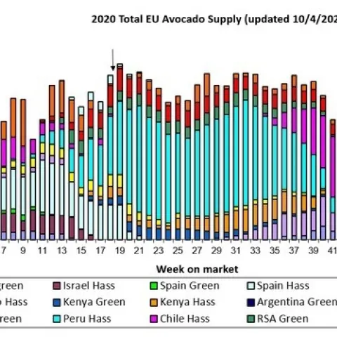 avocado sales 2020 April