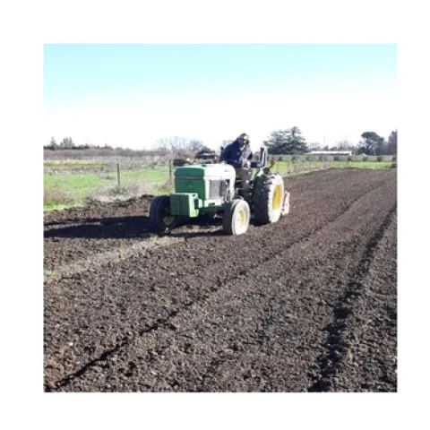 Tractor in the experimental plot infested with Fusarium oxysporum f. sp. lactucae.