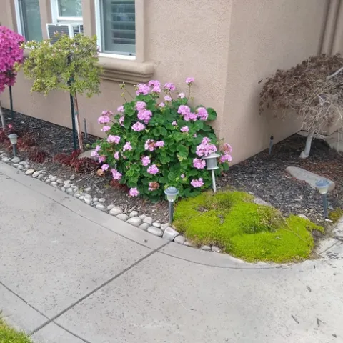 Some plants look great, others not so much