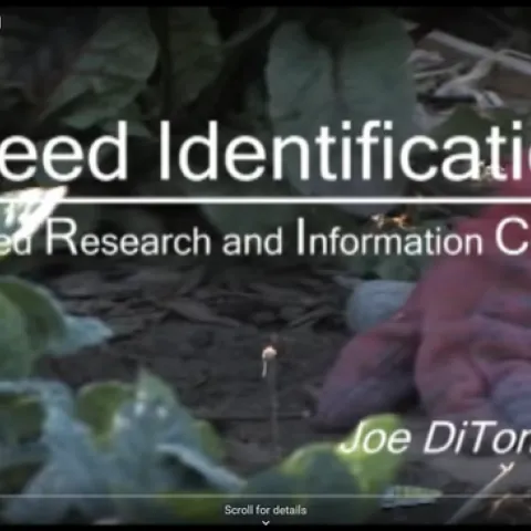 Training video--Weed identification