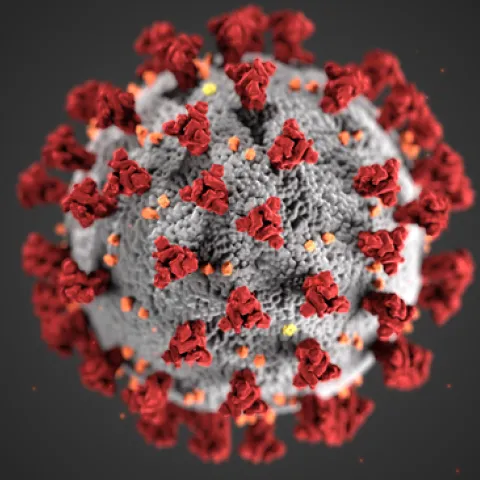 This is the virus that causes COVID-19. A UC Davis-based public awareness webinar on COVID-19 will take place at 1:30 p.m., Thursday, April 23 on YouTube.