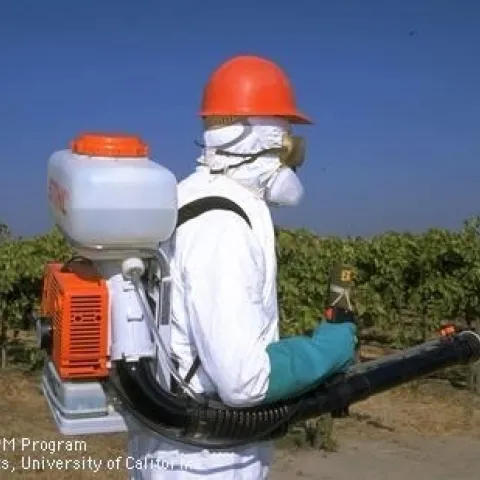 People who work on farms wear personal protective equipment to protect themselves from COVID-19, pesticides, dust and other health hazards.
