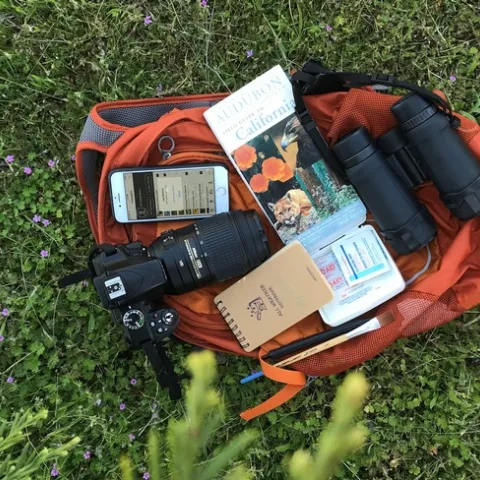 Shannon shares the contents of her naturalist backpack.