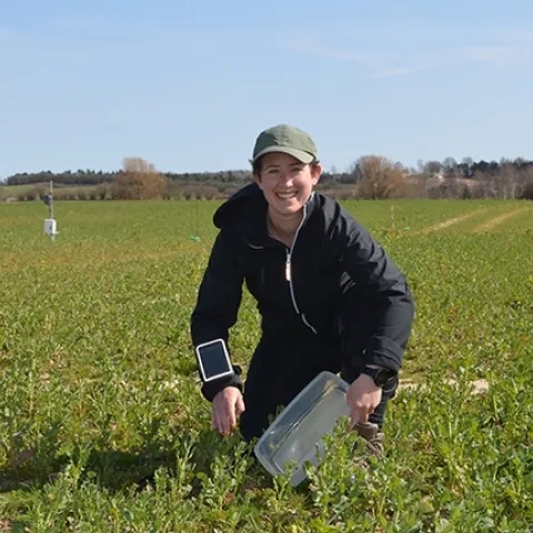 Agricultural entomologist Emily Bick doing field work in Denmark before the lockdown.
