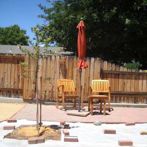 Solarizing to kill weeds