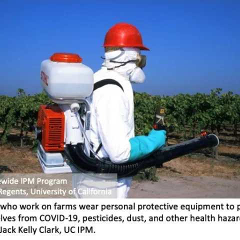 PPE: personal protective equipment